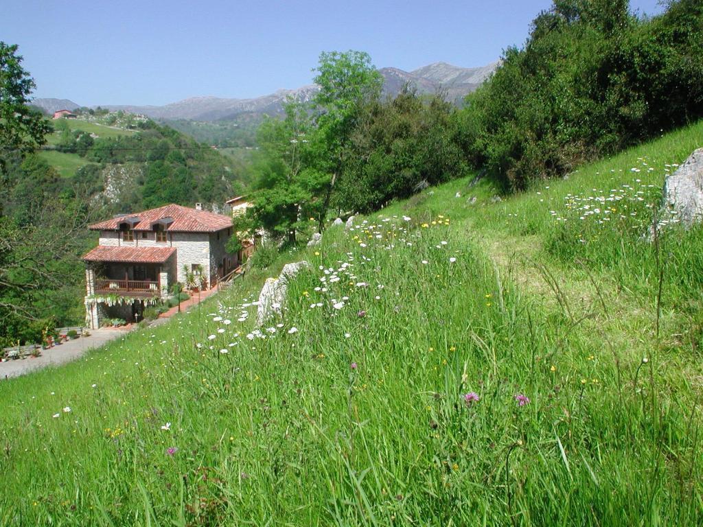 Hotel Posada Del Valle Collia Exterior photo